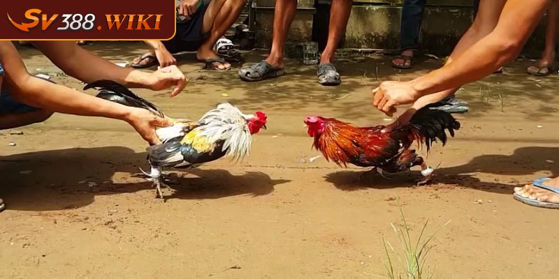 Lưu ý về khoảng cách khi thi đấu