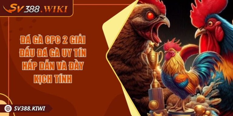 Đá Gà CPC 2 Giải Đấu Đá Gà Uy Tín Hấp Dẫn Và Đầy Kịch Tính 3 Đá Gà CPC 2 Giải Đấu Đá Gà Uy Tín Hấp Dẫn Và Đầy Kịch Tính
