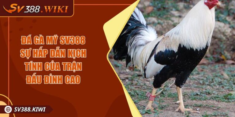 Đá Gà Mỹ SV388 Sự Hấp Dẫn Kịch Tính Của Trận Đấu Đỉnh Cao 5 Đá Gà Mỹ SV388 Sự Hấp Dẫn Kịch Tính Của Trận Đấu Đỉnh Cao
