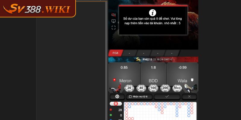 Chất lượng trận đấu đá gà tuyệt vời