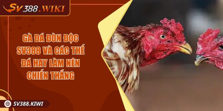 Gà Đá Đòn Độc SV388 Và Các Thế Đá Hay Làm Nên Chiến Thắng