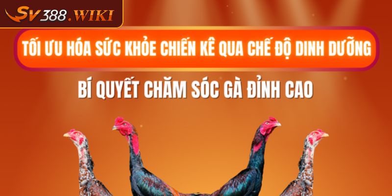 Chế độ dinh dưỡng cho chiến kê khoa học