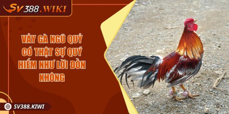 Vảy Gà Ngũ Quỷ Có Thật Sự Quý Hiếm Như Lời Đồn Không 5 Vảy Gà Ngũ Quỷ Có Thật Sự Quý Hiếm Như Lời Đồn Không
