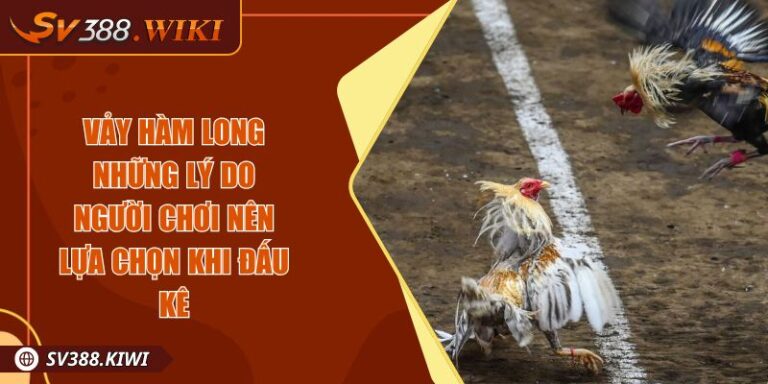 Vảy Hàm Long Những Lý Do Người Chơi Nên Lựa Chọn Khi Đấu Kê