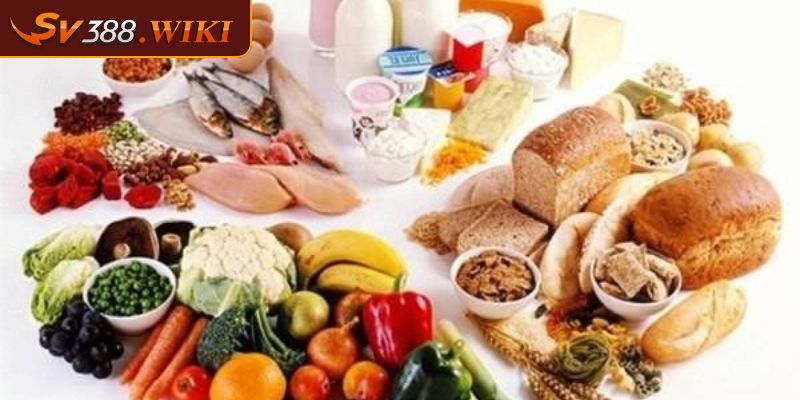 Chế độ dinh dưỡng hợp lý