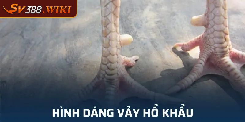 Hình dạng và màu sắc