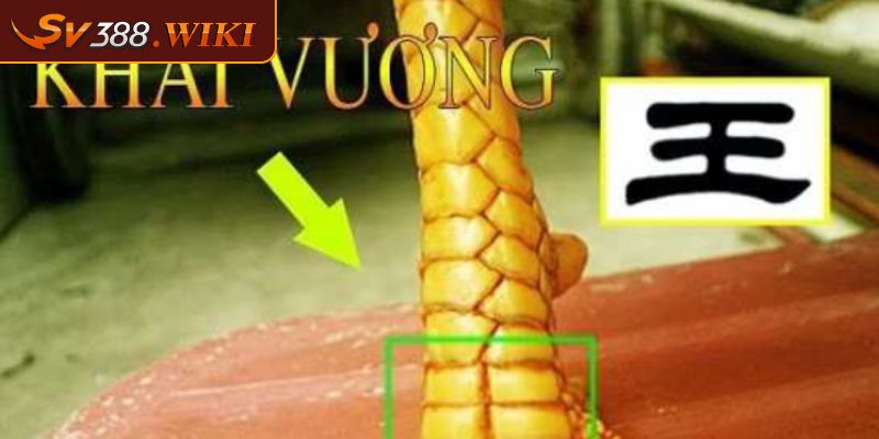 Vảy khai vương là gì?
