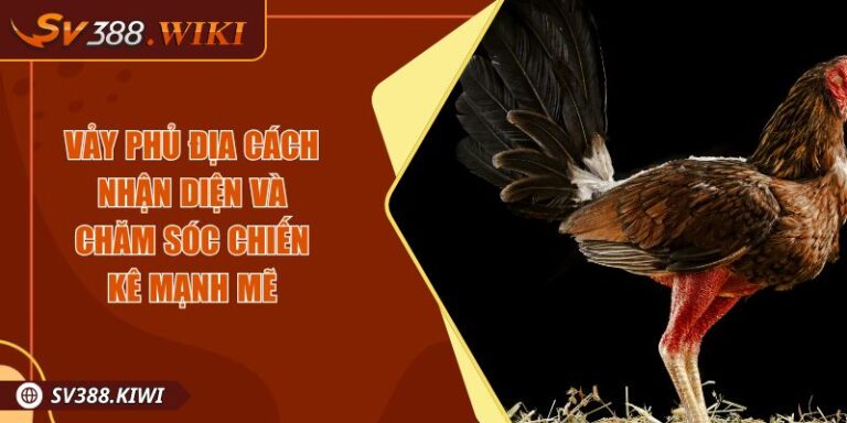 Vảy Phủ Địa Cách Nhận Diện Và Chăm Sóc Chiến Kê Mạnh Mẽ 7 Vảy Phủ Địa Cách Nhận Diện Và Chăm Sóc Chiến Kê Mạnh Mẽ