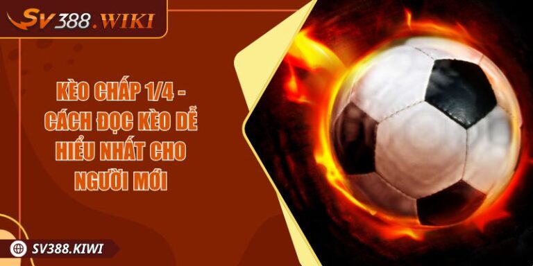 Kèo Chấp 1/4 - Cách Đọc Kèo Dễ Hiểu Nhất Cho Người Mới