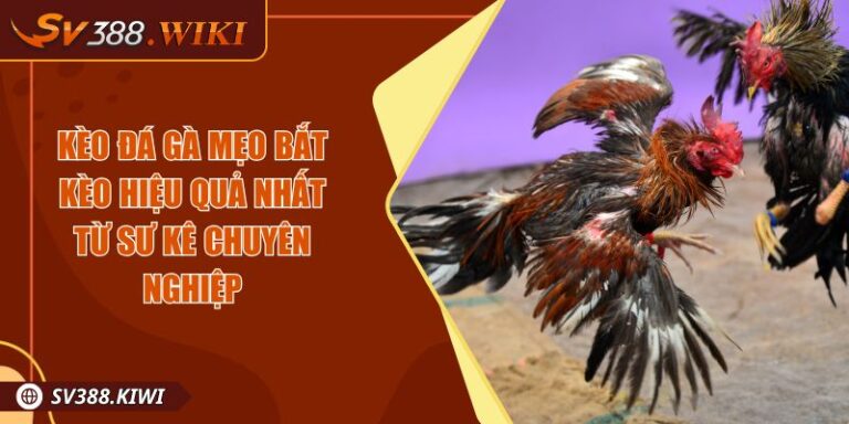 Kèo Đá Gà Mẹo Bắt Kèo Hiệu Quả Nhất Từ Sư Kê Chuyên Nghiệp