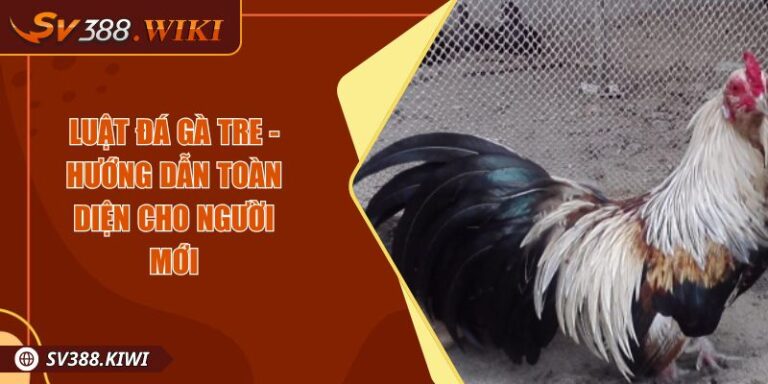 Luật đá gà tre - Hướng Dẫn Toàn Diện Cho Người Mới